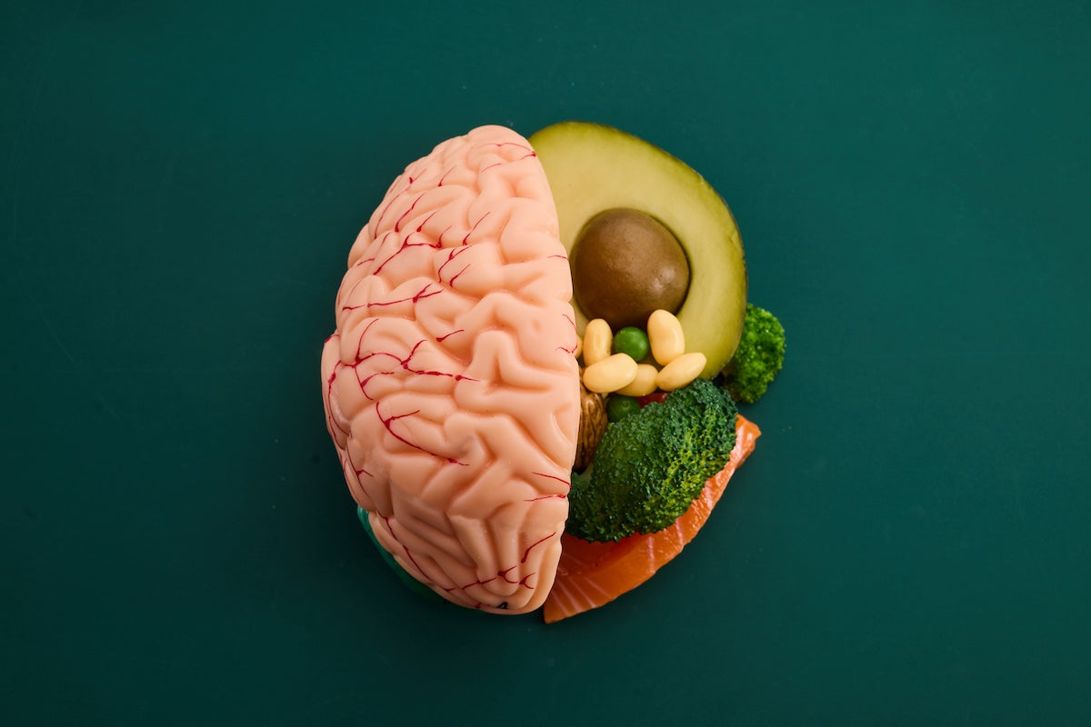 Brain model filled with healthy foods like avocado, broccoli, salmon, and nuts — concept of brain-boosting nutrition and omega-3 rich diet