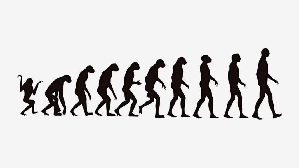 Silhouette illustration of human evolution, depicting the progression from a primate to a fully upright modern human in a left-to-right sequence.