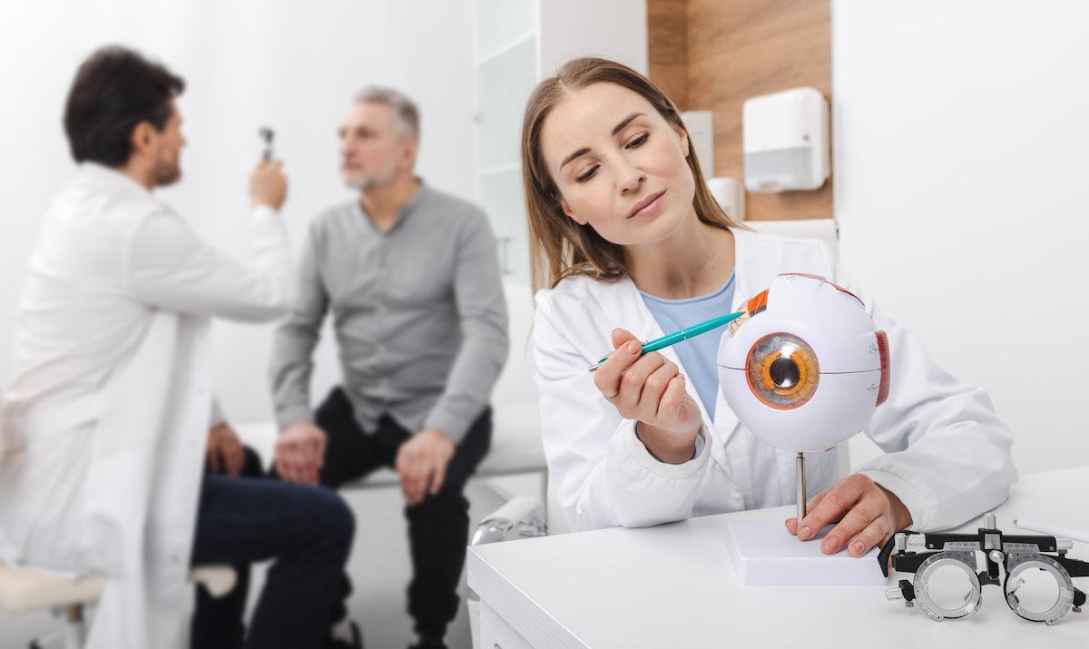 Optometrist explaining eye anatomy with a model while another doctor examines a patient in the background.