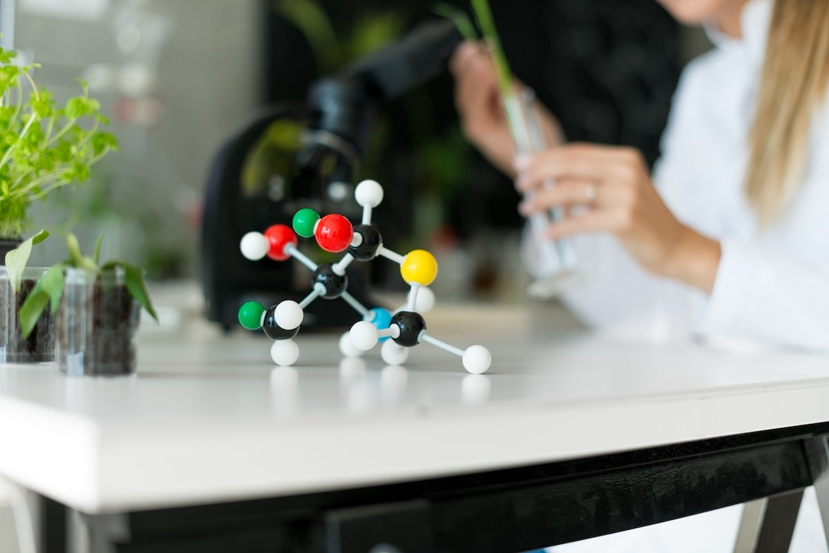 Colorful molecular model on a laboratory desk with a scientist examining a plant sample in the background, representing amino acid research and collagen development.