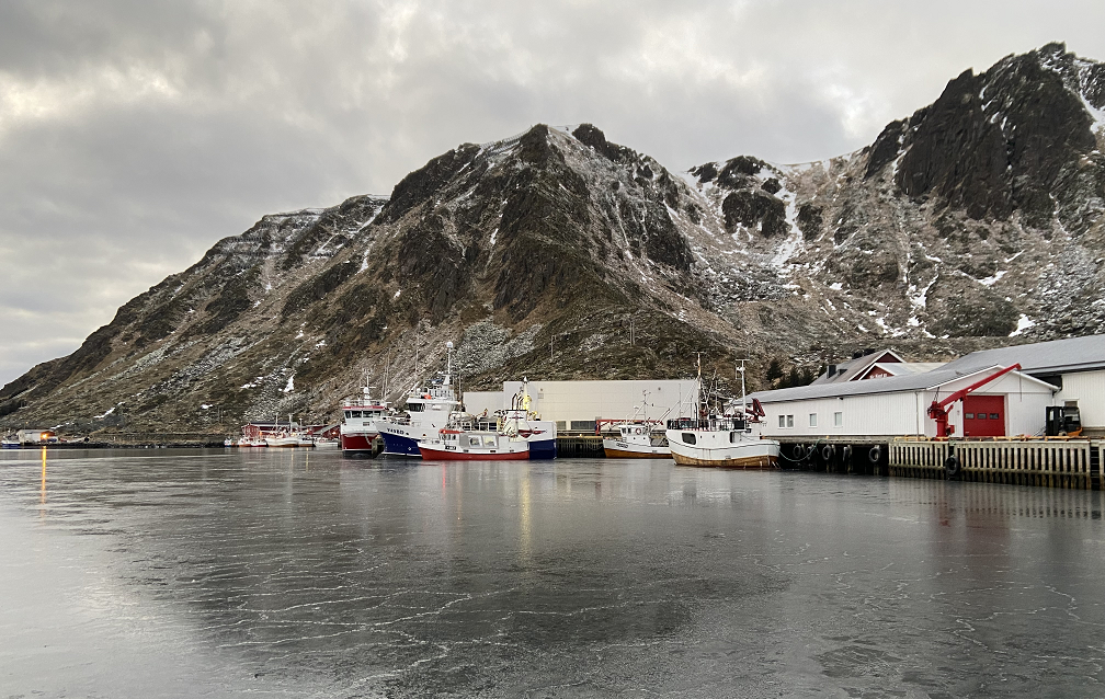 Winter harbor scene in Norway featuring traditional fishing boats docked beside a snowy mountain range in the Lofoten Islands. The calm, partially frozen water reflects the rugged Arctic landscape, with red and white coastal buildings in the background.