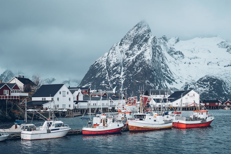 Fishing boats docked in the harbor of Hamnøy village, with traditional red and white houses and snow-covered mountains in Lofoten, Norway.