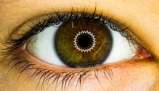 Staring at a screen all day? Omega-3s may be able to help those dry eyes