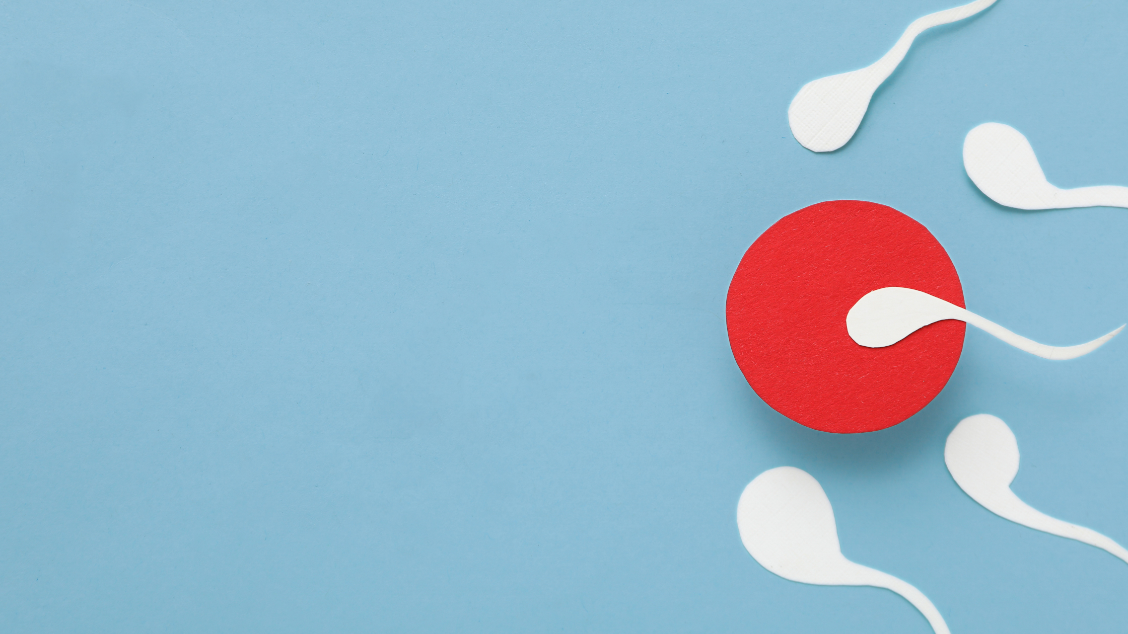 Sperm Health and Nutrition: Why Omega-3 Matters