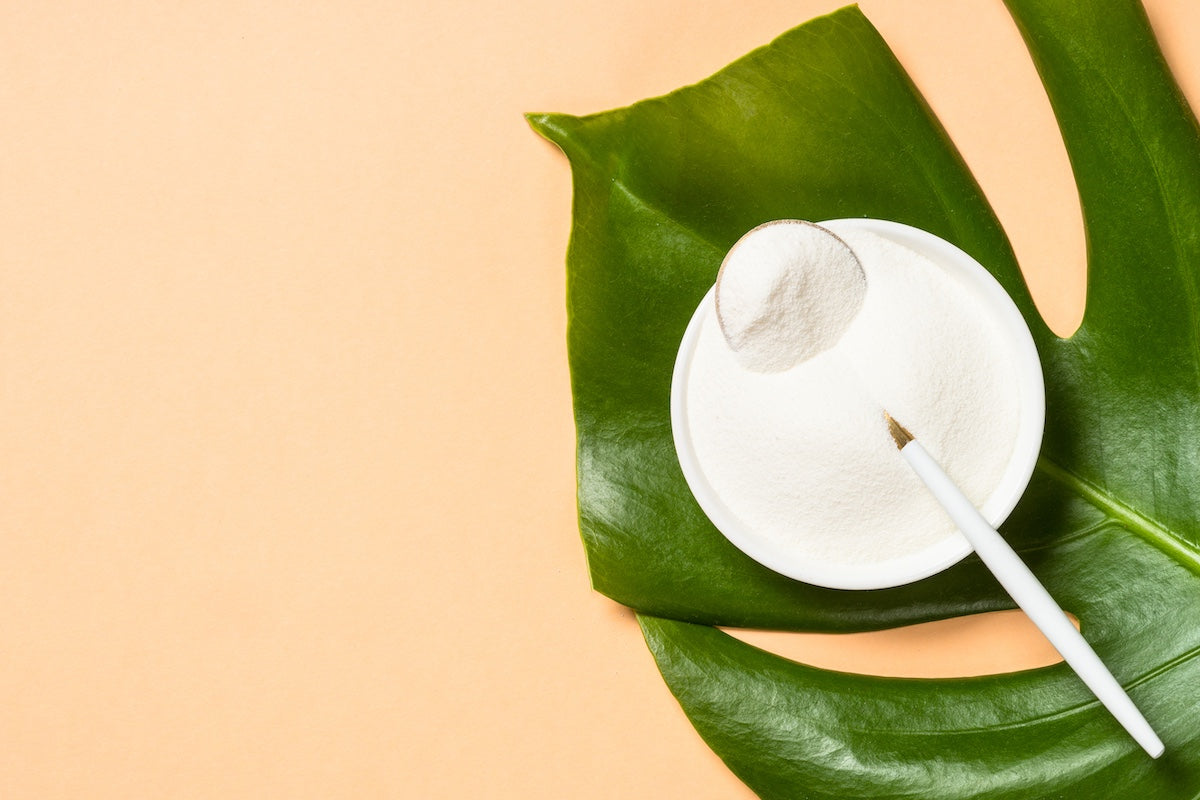 White bowl filled with collagen powder and a measuring spoon, placed on a large green tropical leaf against a peach-colored background, representing a natural and clean collagen supplement.