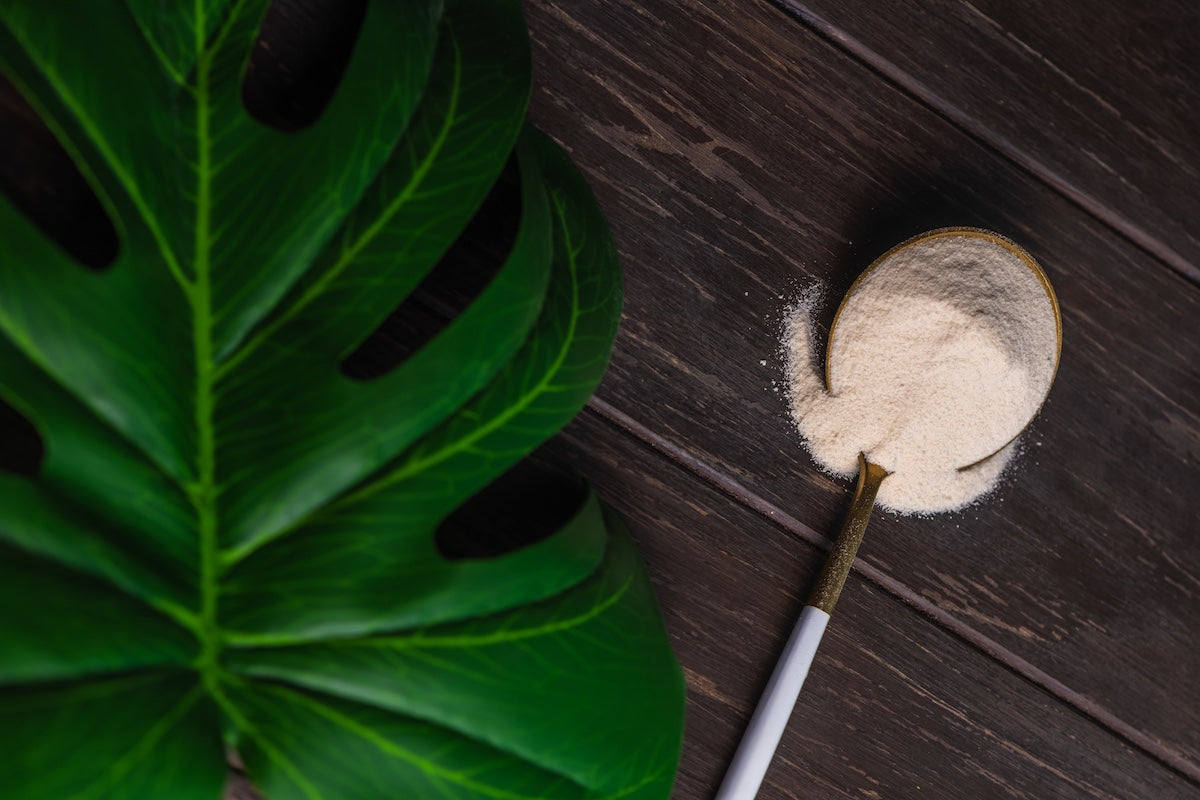  A spoonful of collagen powder on a dark wooden surface next to a large green tropical leaf; a composition symbolizing natural supplements and healthy living.