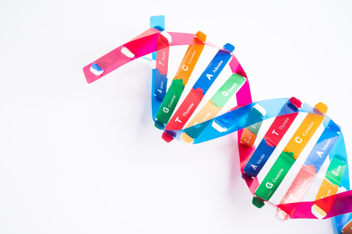 DNA or Deoxyribonucleic acid is a double helix chains structure formed by base pairs attached to a sugar phosphate backbone.