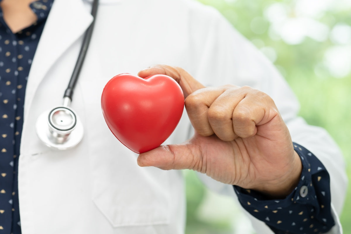 A doctor in a white coat holding a red heart-shaped model, symbolizing heart health, with a stethoscope around the neck, representing medical care and cardiology.
