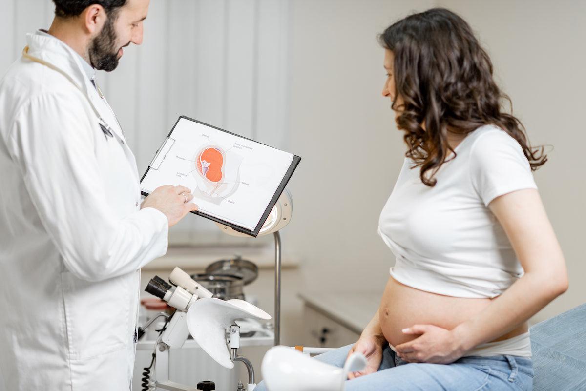Doctor discussing pregnancy anatomy with a pregnant woman during a prenatal check-up, using a medical diagram to explain fetal development.