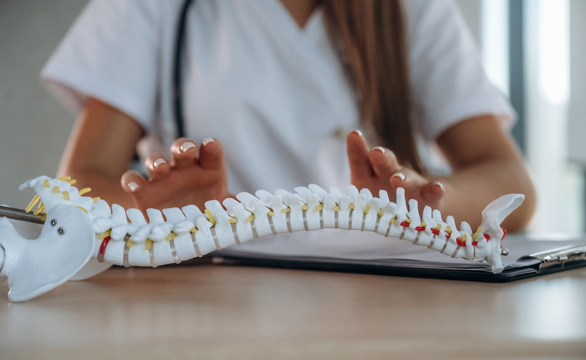 Close-up of a female healthcare professional examining a spine model on a desk, demonstrating spinal structure and alignment.