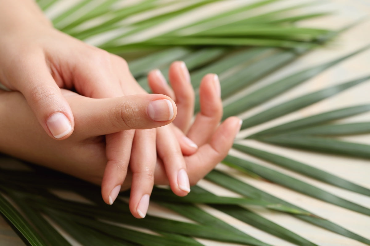 Close-up of well-groomed natural fingernails resting gently on a hand, with green palm leaves in the background.