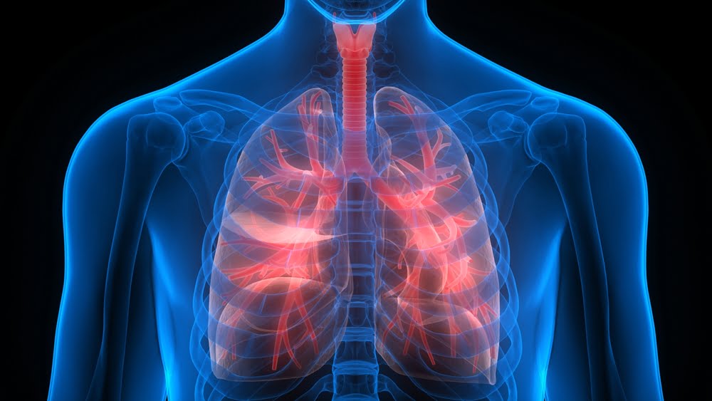 New Evidence Shows Omega-3 DHA May Protect the Lungs