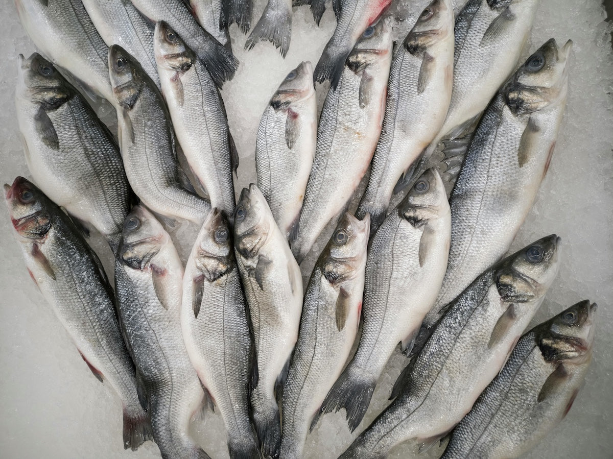 Fresh whole fish arranged on a bed of ice at a market