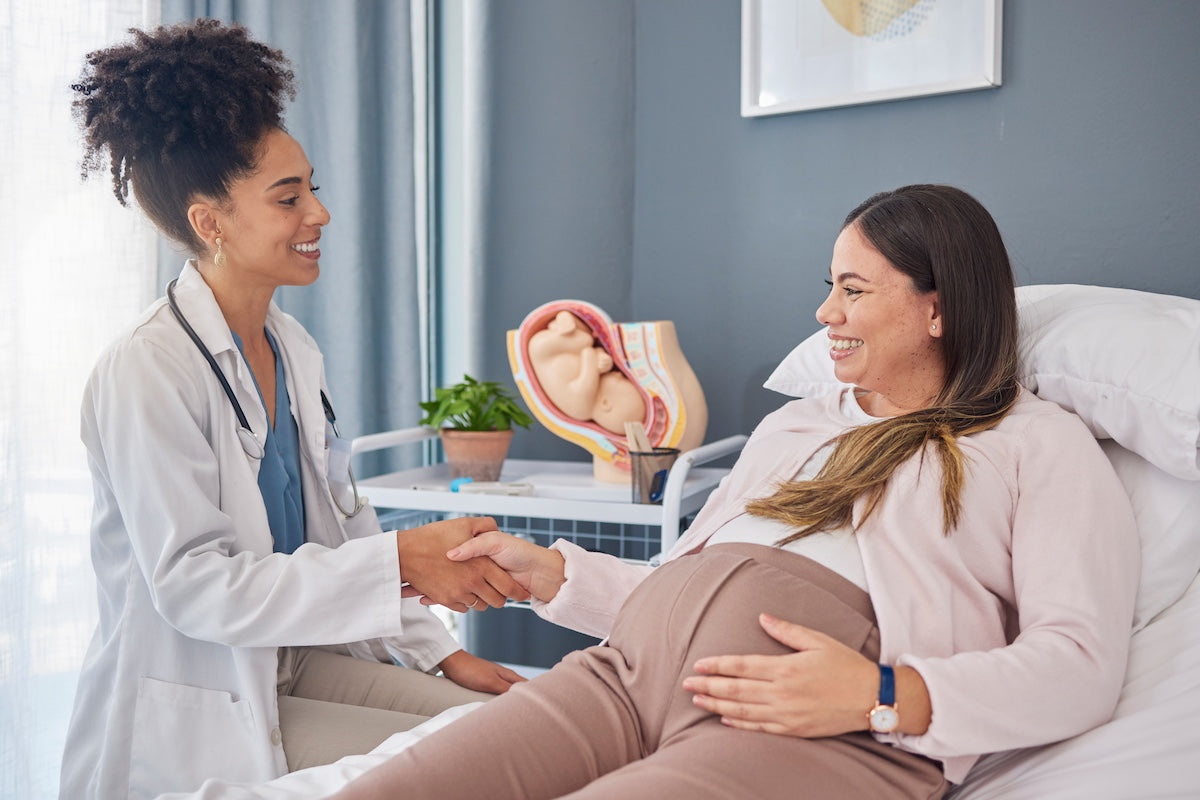 Pregnant woman smiling and shaking hands with a female doctor during a prenatal appointment, with a fetal anatomy model visible in the background.