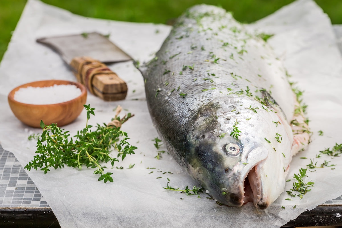 Top 5 Fish for Making High-Quality Omega-3 Supplements