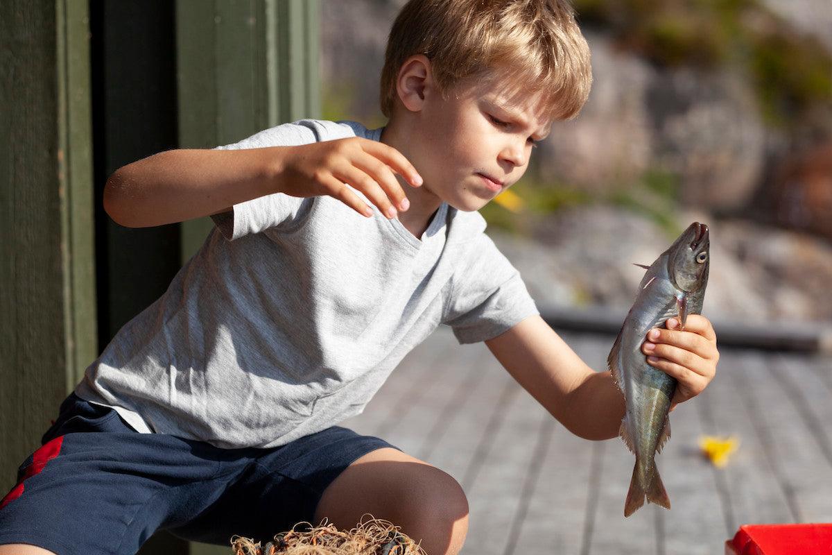 Young boy in a gray shirt and navy shorts holding a freshly caught fish, examining it closely while sitting outdoors on a wooden deck.