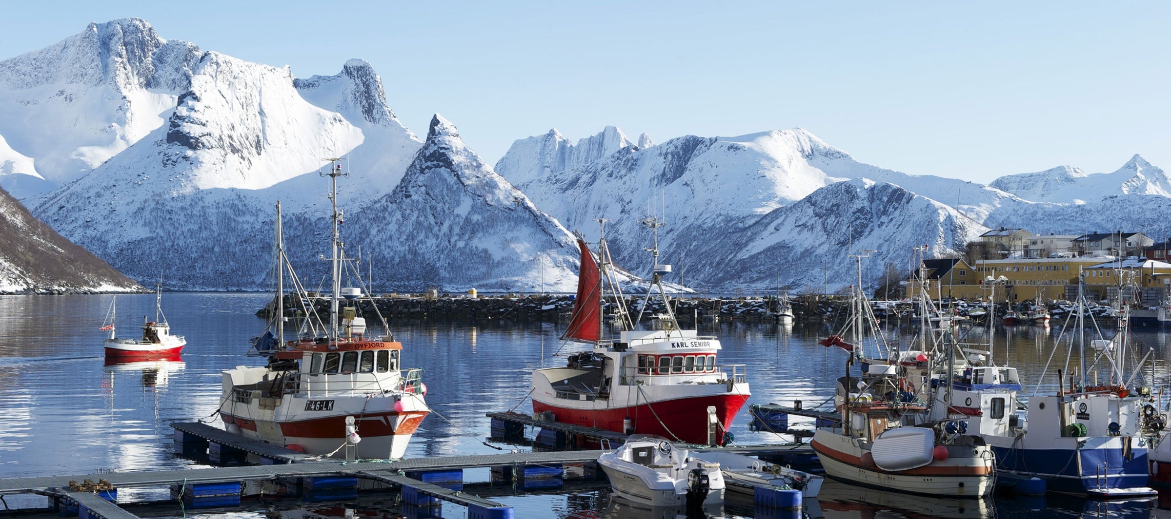 Load video: Starts by showing the harsh ocean condition in the Arctic, the video explains how fish oil is produced in Norway