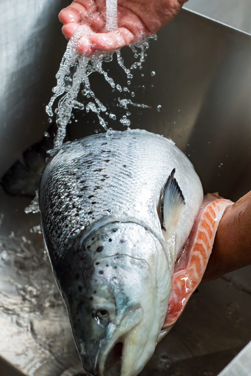 Fish being rinsed under running water with a hand holding it.